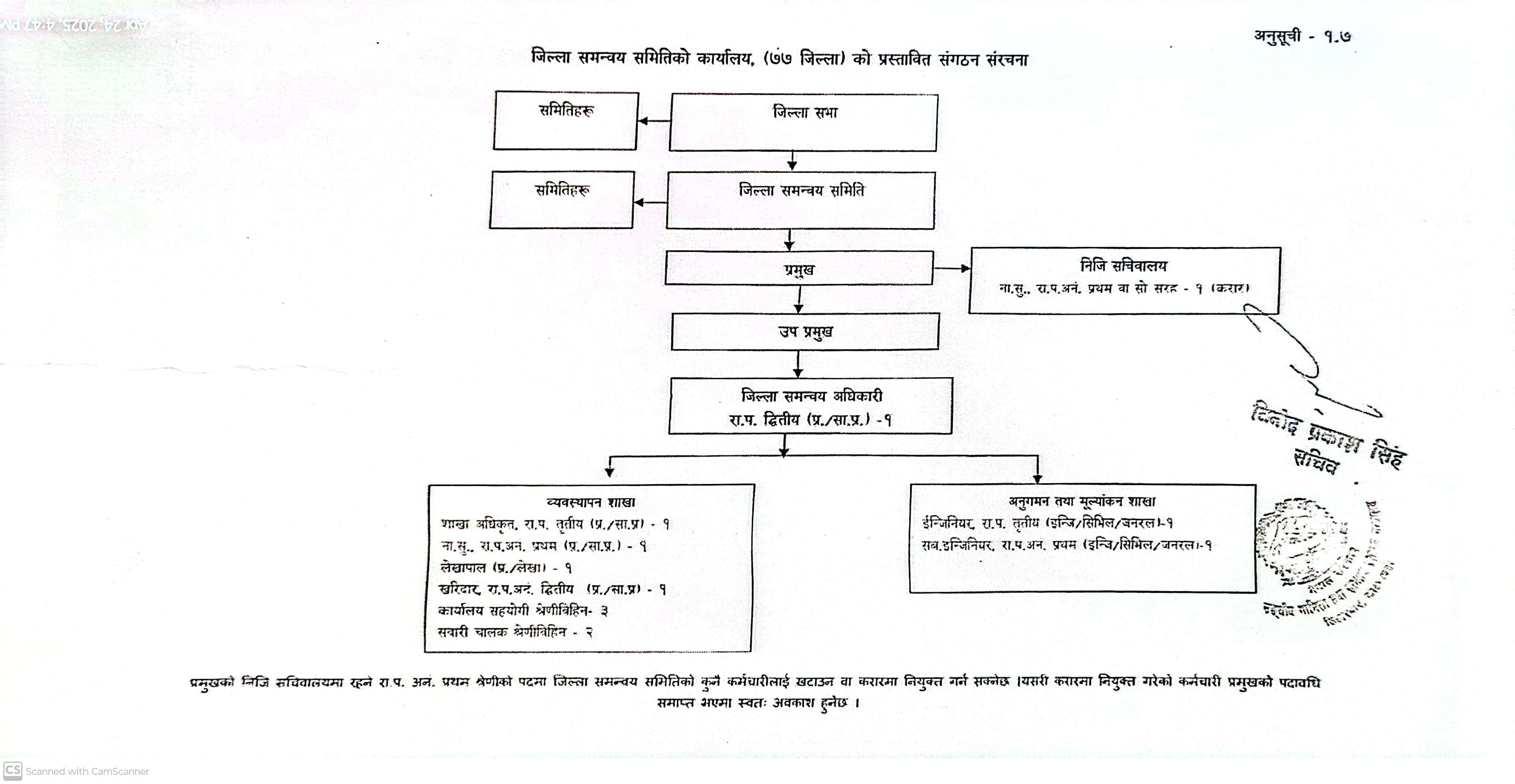 संगठन संरचना